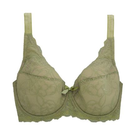 isabelle lace full cup bra