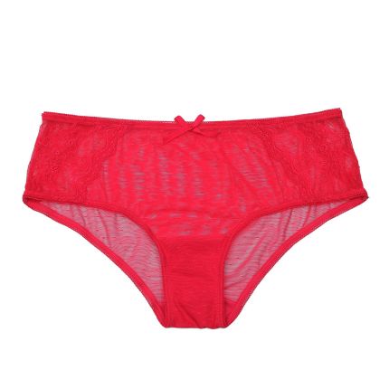 basilia lace boyleg panty