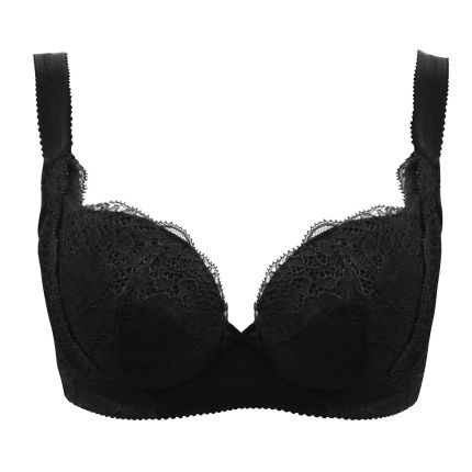 envy premium demi bra