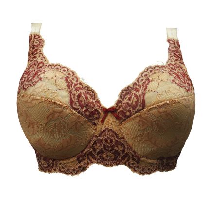 rosita full cup bra