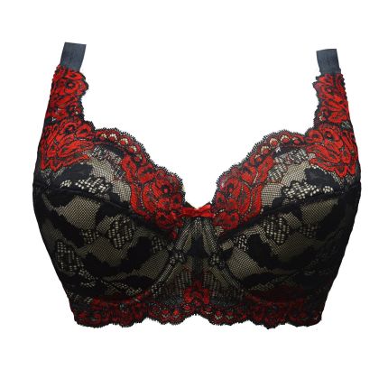 rosita full cup bra